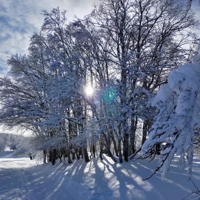 Itinéraire ski de fond Plateau de Retord - N12 Le balcon du Mont-Blanc