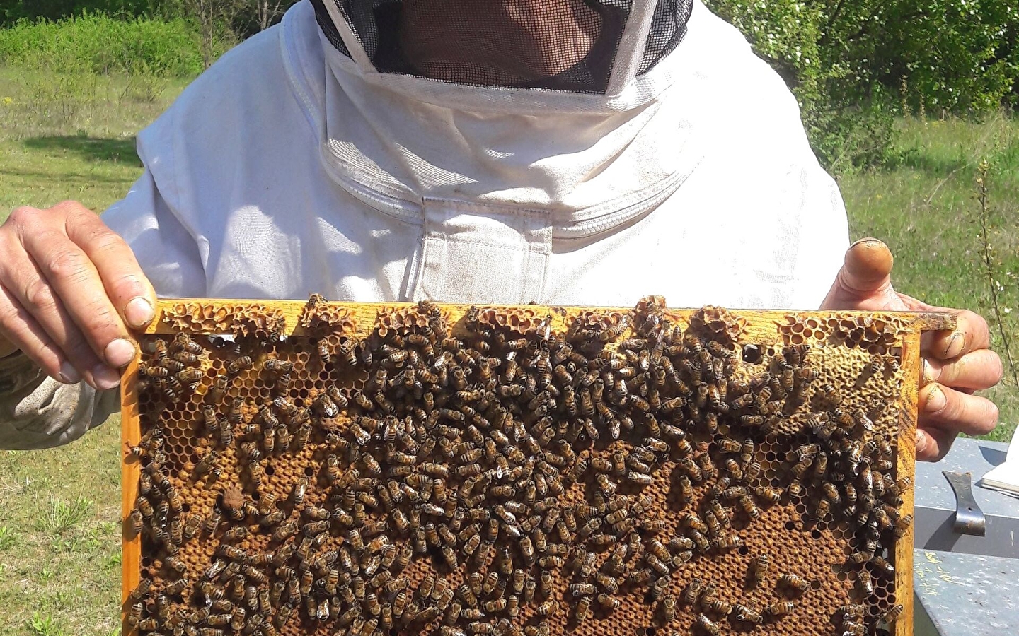 Kirchhoff Cyrille apiculteur