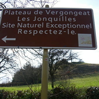 Plateau de Vergongeat - COLIGNY