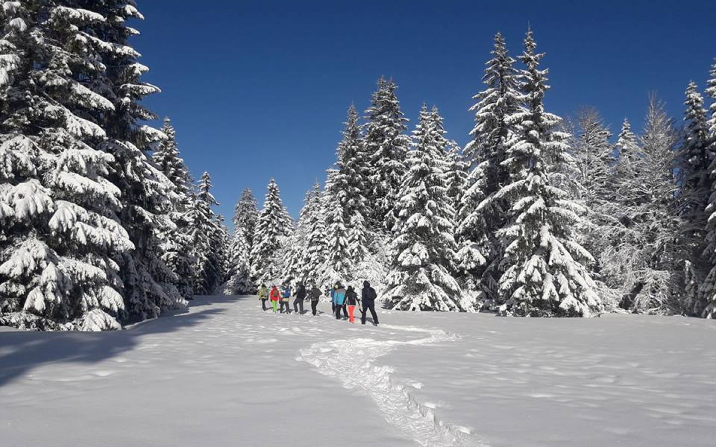 Snowshoeing activities: keeping your bearings