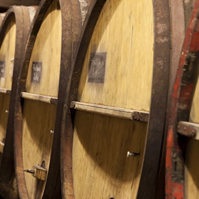 Cellar visit and tasting at Château Béthanie