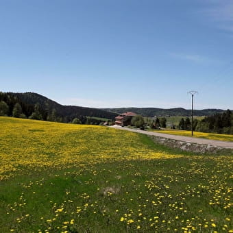 La Margueronne - SEPTMONCEL LES MOLUNES