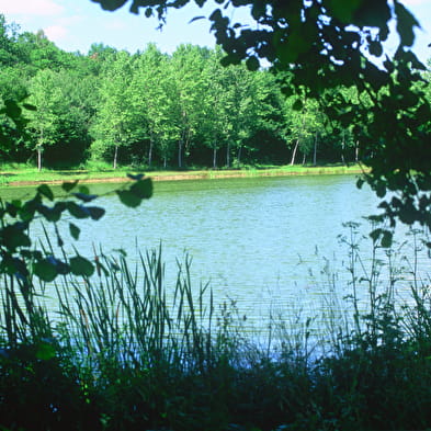 Coligny - Etang de Fougemagne (VTT)