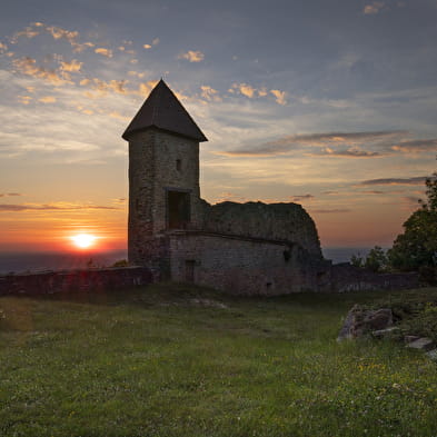 Heritage Day at Château de Chevreaux