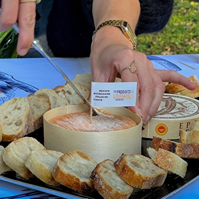 Surprise guided tour