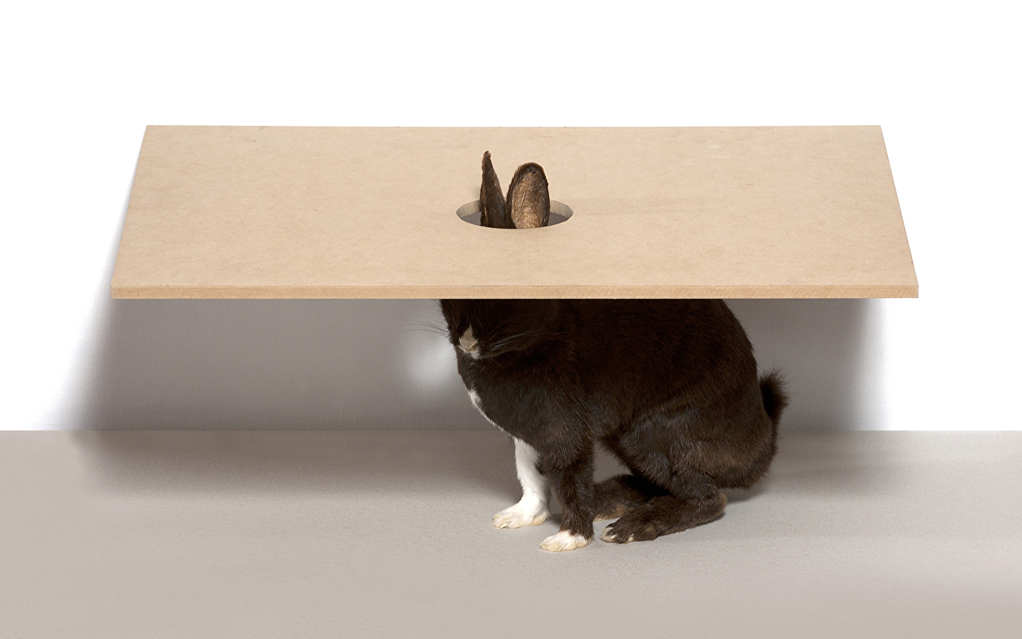 mdlx Collections - Carte blanche with Michel Delacroix