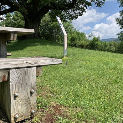 Aire de pique-nique du Tilleul de Sully à Cormaranche-en-Bugey