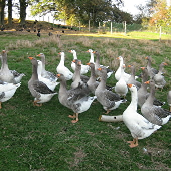 Ferme de valuisant - VILLEREVERSURE