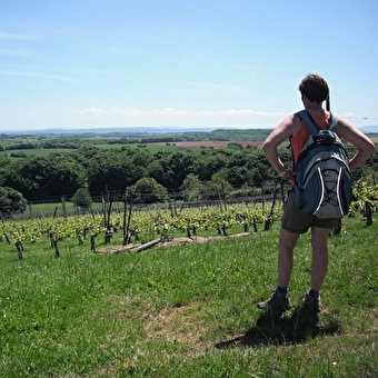 The Three Villages - LE MOUTHEROT