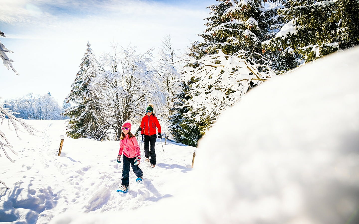 The Grande traversée du Jura on snowshoes - GTJ raquette