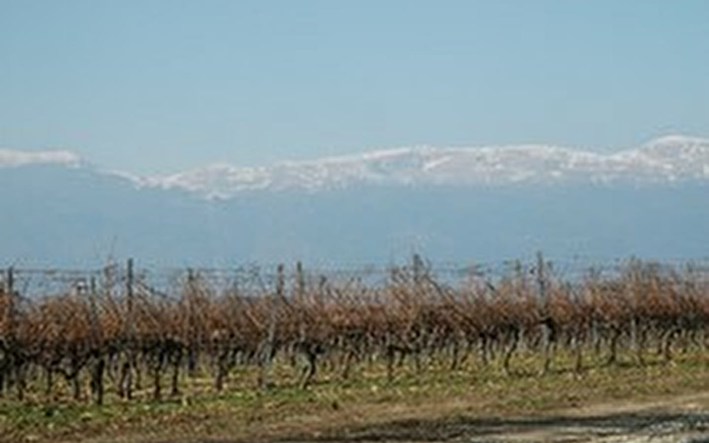 Panorama sur le Jura