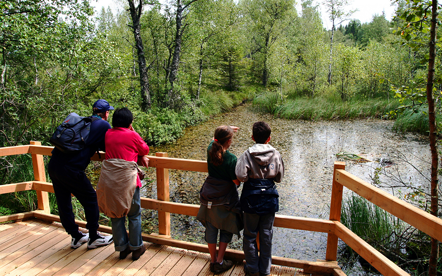 Animation - Photo rally to discover the peat bogs