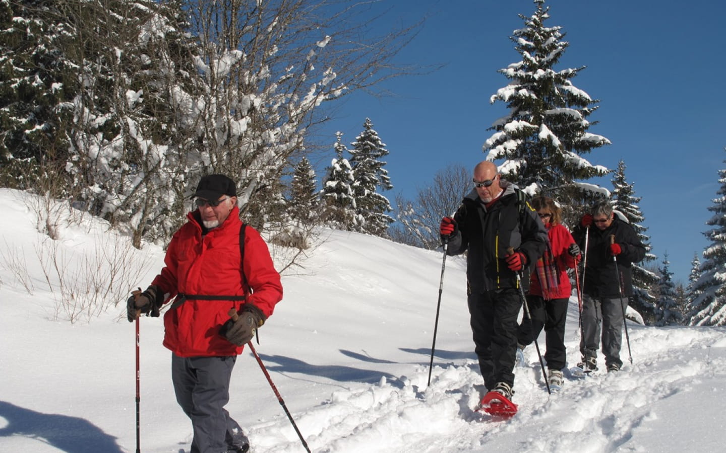 Snowshoeing trails in Saint-Laurent en Grandvaux