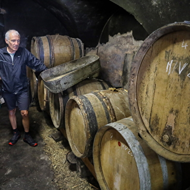 Wine tour of Vernantois and visit to the Perrin estate