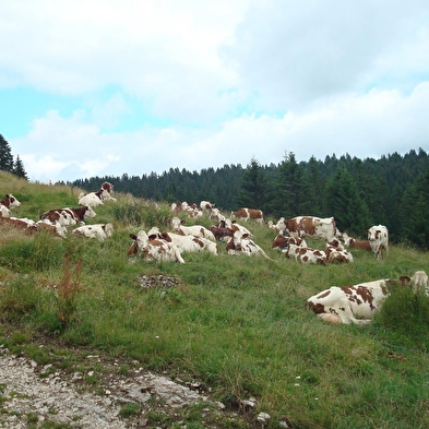 Le Crêt de Chalam