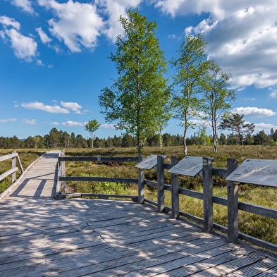40 years of the Tourbières de Frasne Regional Nature Reserve