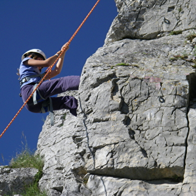 Escalade avec Lézard des Bois