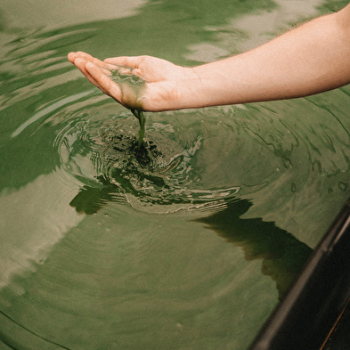 Les Bassins Fermiers 