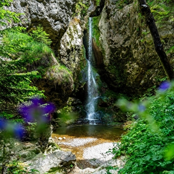 Cascade du Moulin - LES BOUCHOUX