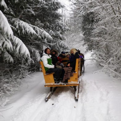 Family holidays in the Land of the reindeer