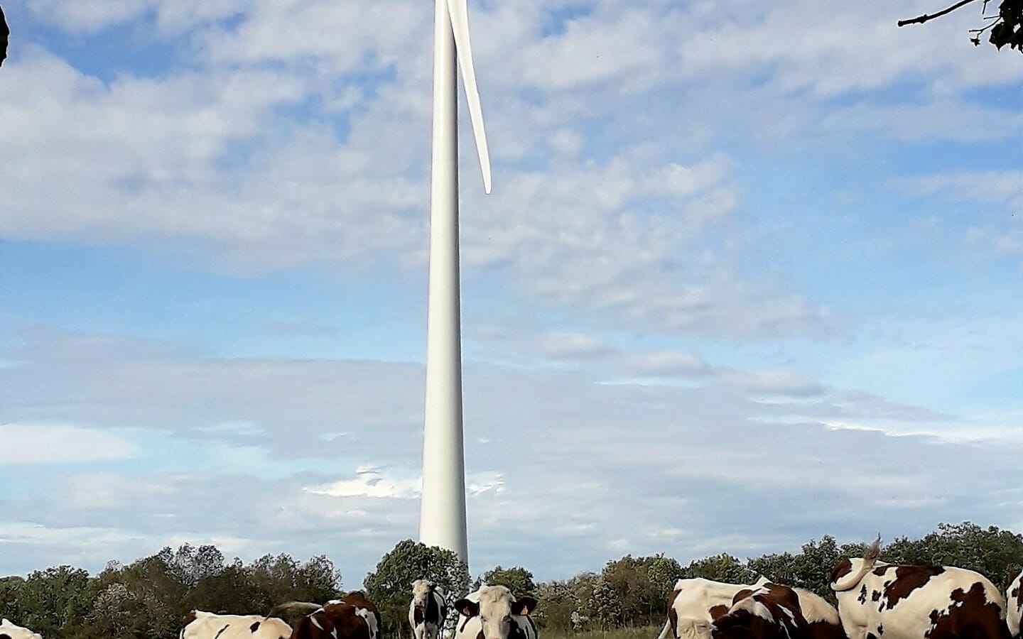 Guided tour of the Chamole wind farm