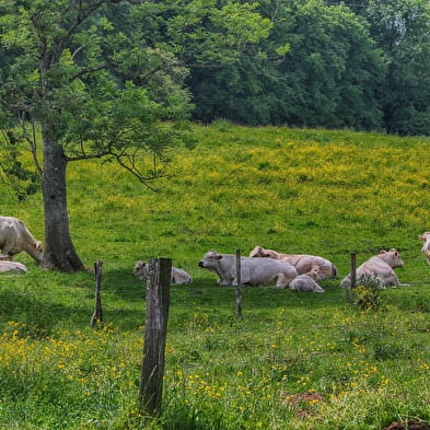 La ferme Chassard