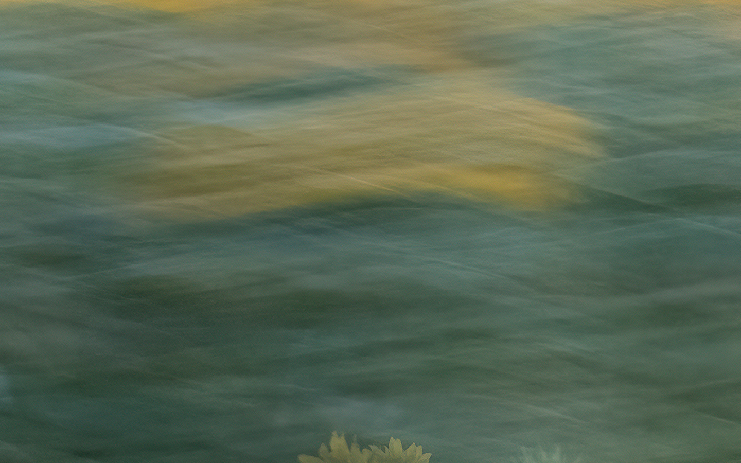 Festival de photographie Contemporaine - Grain d'Pixel - Guests at the feast