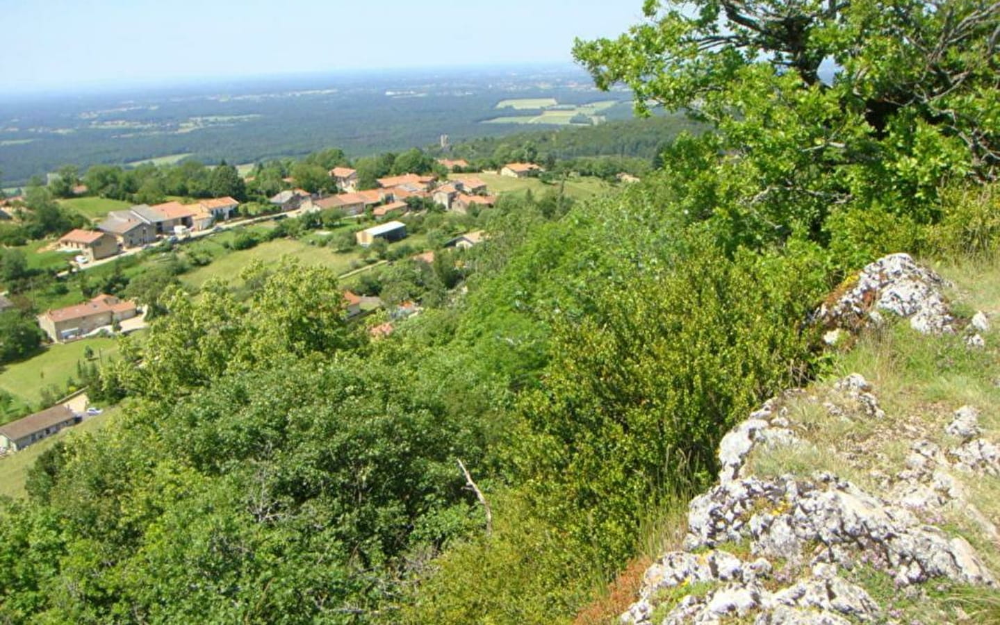 Plateau des Conches