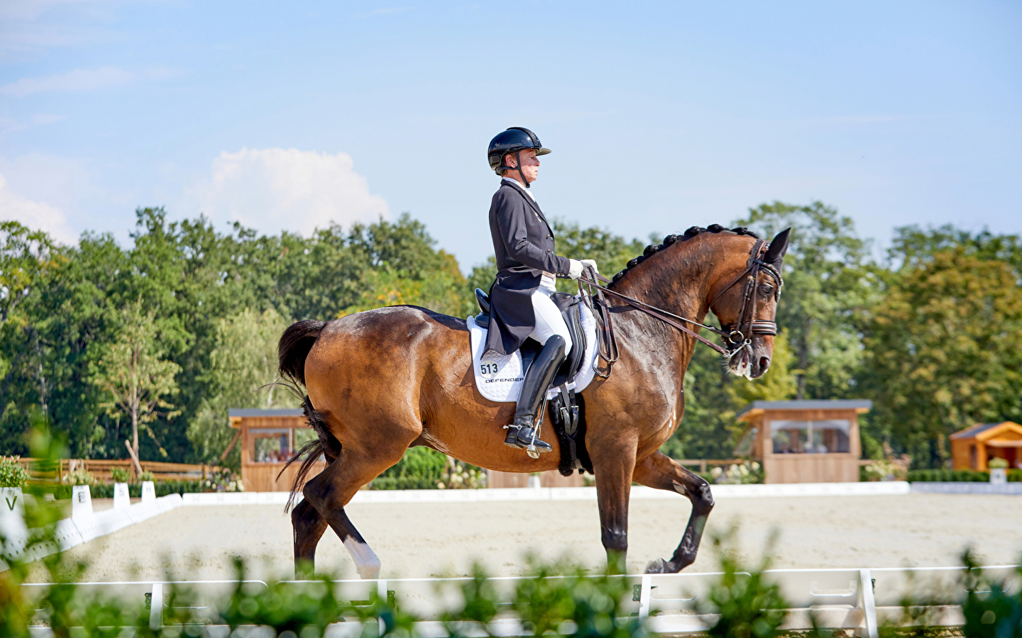 Championnat d'Europe de dressage FEI