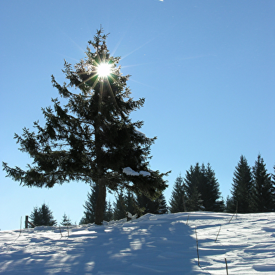 Site Nordique de La Cernay Blanche