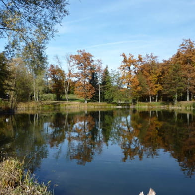Étang de Cessy Tutegny : espace multi-loisirs