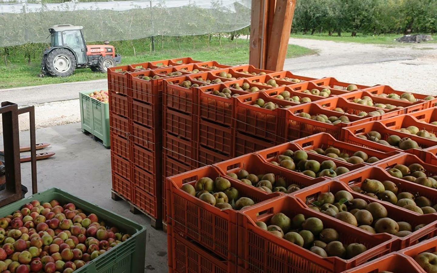 Portes ouvertes GAEC Guilland des Plantaz