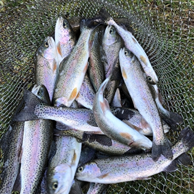 Pisciculture de la vallée