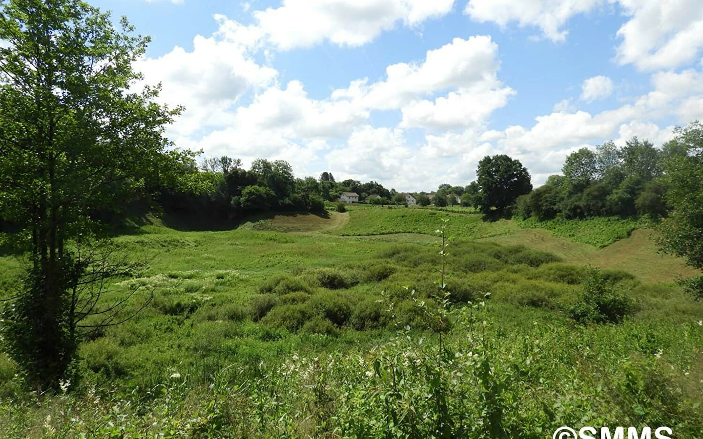 ENS - Marais de Saône