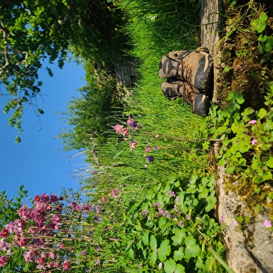 Discover the Coeur du Jura differently