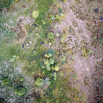 40 years of the Tourbières de Frasne Regional Nature Reserve