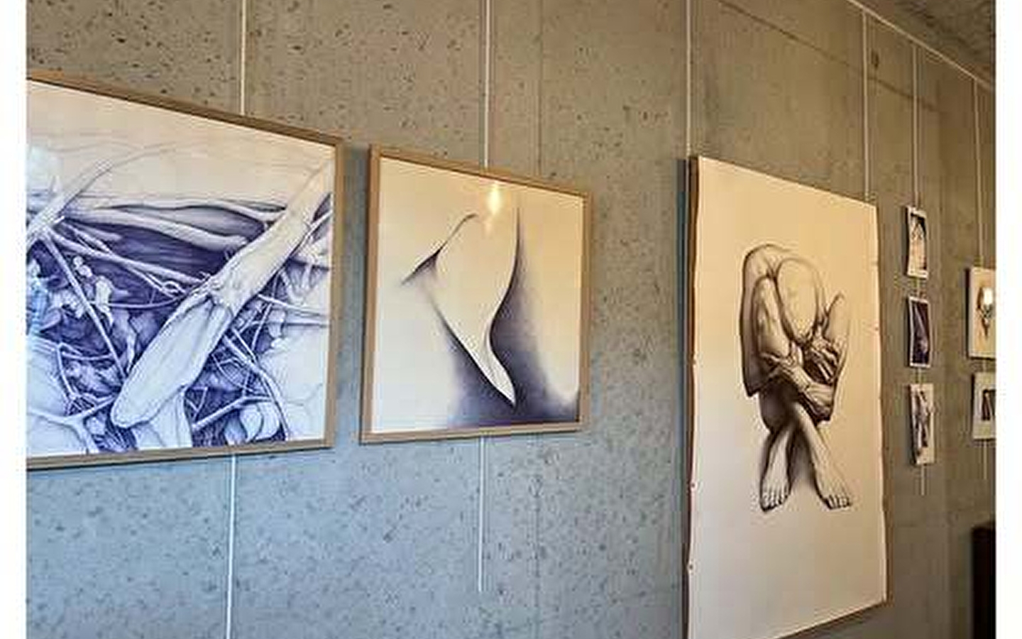 Exposition de dessins au stylo Bic par Olivier Fischer à la Barque