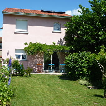 Rose Thé - AMBERIEU-EN-BUGEY