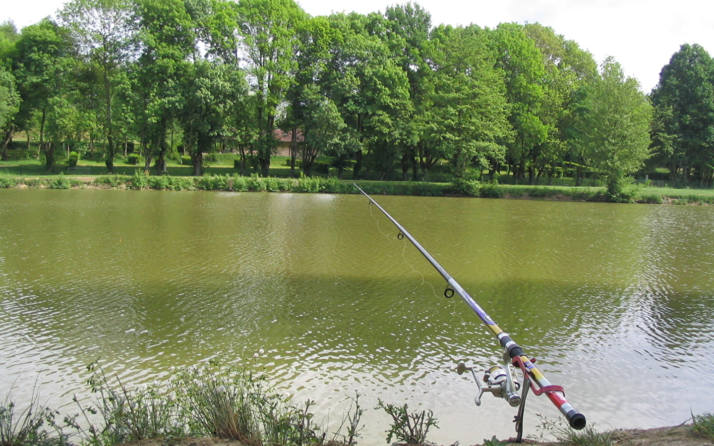 Base de Loisirs et Etang de pêche de Mépillat