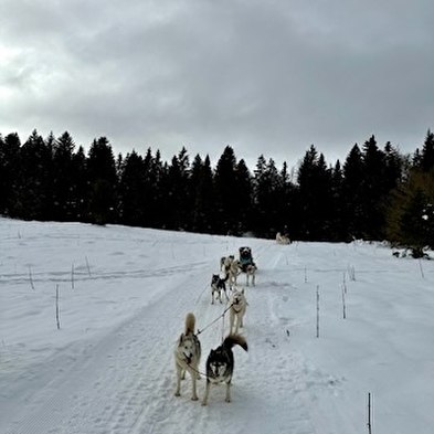 Baptême en traîneau à chiens avec Symbiose