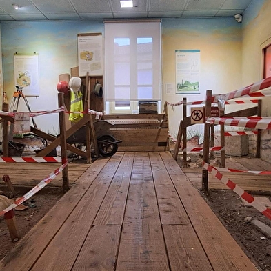 Visite guidée du musée
