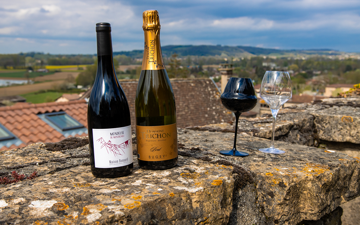 Portes ouvertes du Domaine Trichon, 30e anniversaire