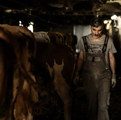 La Ferme des Louisots