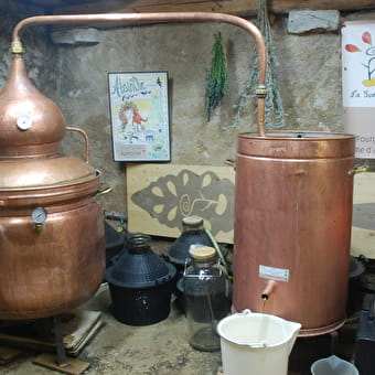 Distillerie Aymonier - La Semilla - LES FOURGS