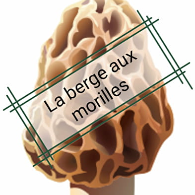 La Berge aux Morilles