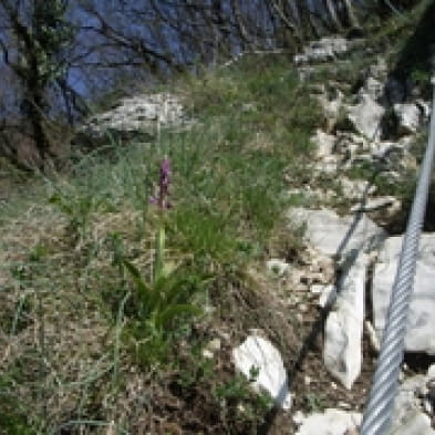Via Ferrata Baumes du Verneau