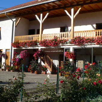 Gîte Les Jonquilles - HAUT VALROMEY