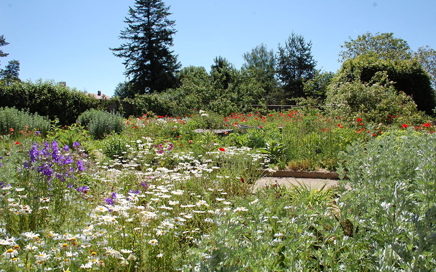 The Courbet Farm garden in the spotlight!