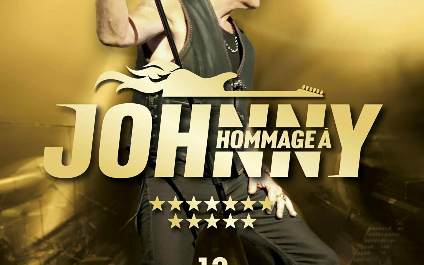 Show hommage à Johnny