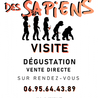 Brasserie des Sapiens - SAINT-CLAUDE